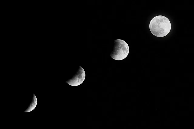 Biorritmos y ciclos de vida - Fases lunares
