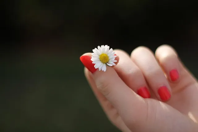 Estética y cuidado personal