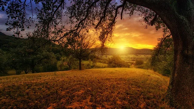 Ritual del Amanecer para nuevos comienzos