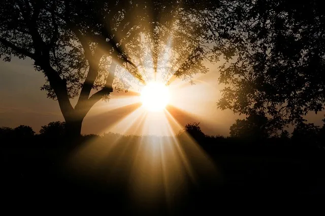 Magia solar