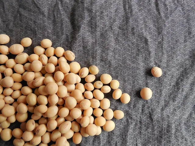Composición nutricional de la soja