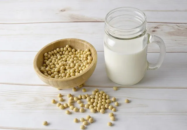 Leche de Soja