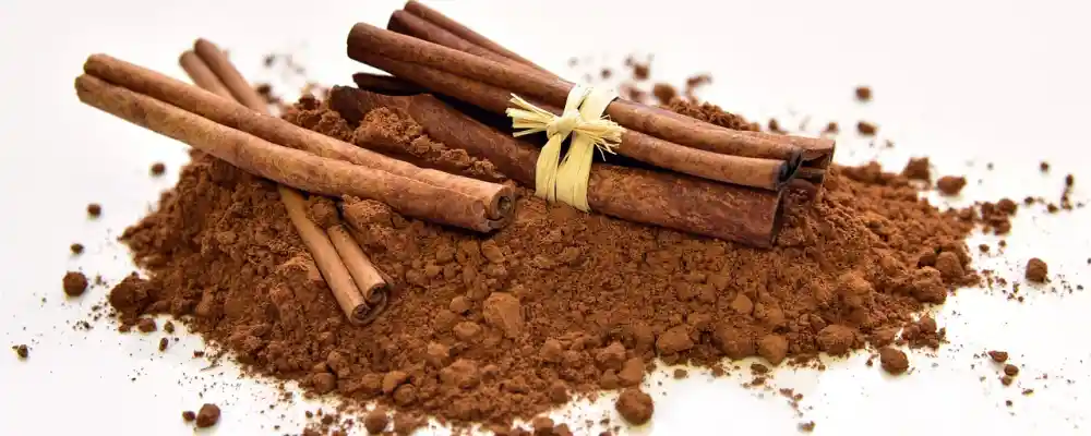 Abundancia y amor con la canela: Un viaje esotérico