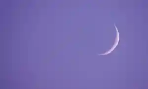 El poder curativo de los círculos de Luna Nueva