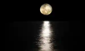 La luna y sus fases: Rituales, oráculos y hechizos lunares para transformar tu energía