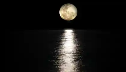 La luna y sus fases: Rituales, oráculos y hechizos lunares para transformar tu energía