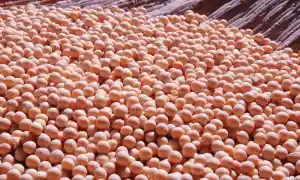 Comer soja puede reducir el colesterol