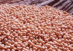 Comer soja puede reducir el colesterol