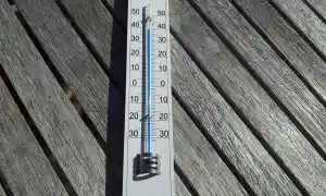 Combate el calor con estos alimentos