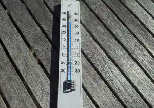 Combate el calor con estos alimentos