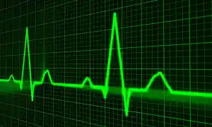 Biorritmos y ciclos de vida: Cómo sincronizarte con la energía natural del universo