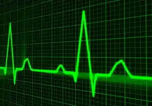 Biorritmos y ciclos de vida: Cómo sincronizarte con la energía natural del universo