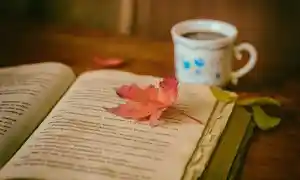 El poder de la lectura y la escritura para la salud mental